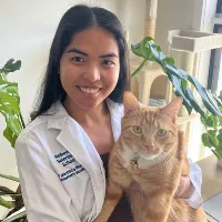 Animal House Veterinary Center gallery photo 7