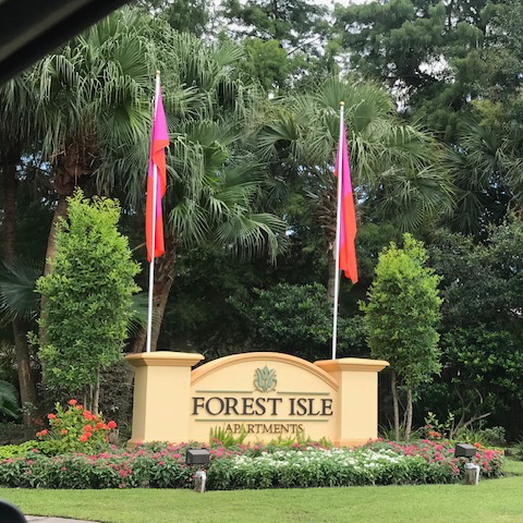 Forest Isle Apartments gallery photo 0