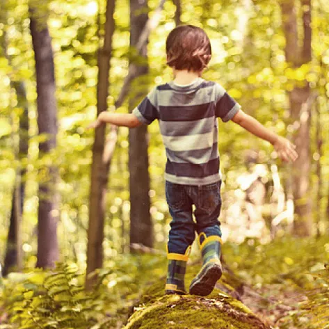 Hakes Brothers at The Woodlands gallery photo 5