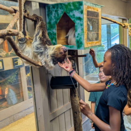 Wild Animal Safari Pine Mountain gallery photo 2