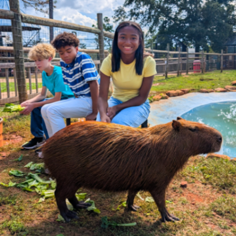 Wild Animal Safari Pine Mountain gallery photo 3