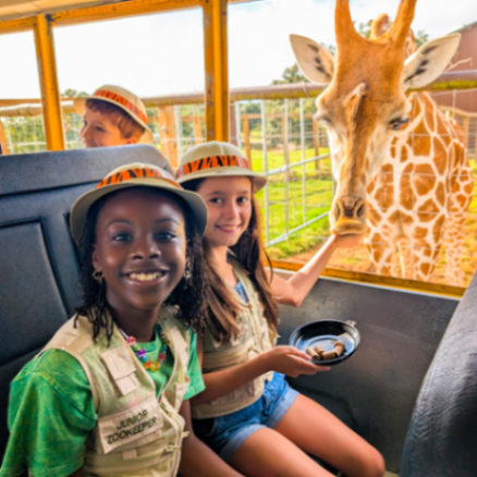 Wild Animal Safari Pine Mountain gallery photo 5