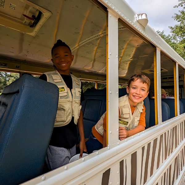 Wild Animal Safari Pine Mountain gallery photo 6