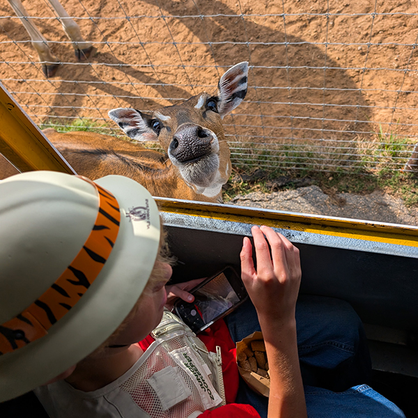 Wild Animal Safari Pine Mountain gallery photo 7