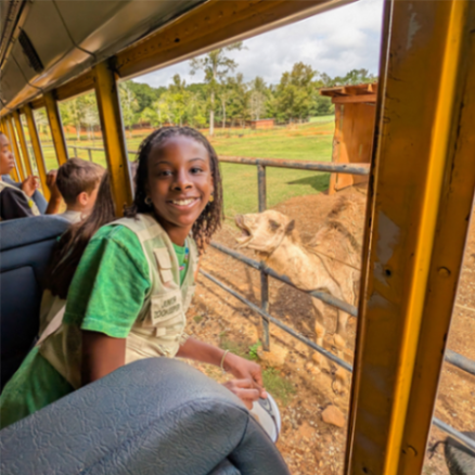 Wild Animal Safari Pine Mountain gallery photo 9