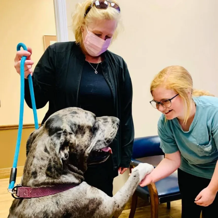 Viking Drive Veterinary Hospital Boarding and Grooming gallery photo 6