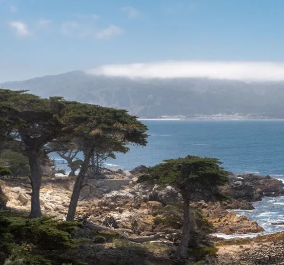 Mangold Property Management gallery photo 4