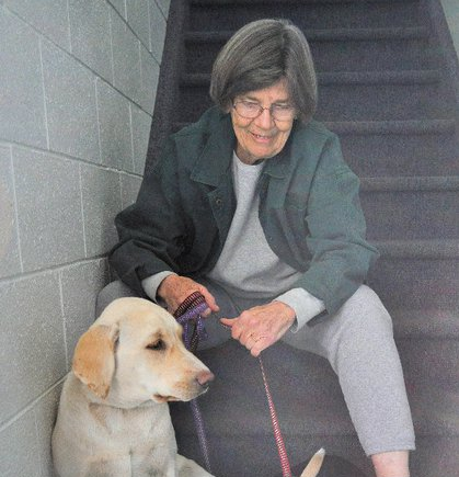 Hamlett Spay & Neuter Clinic gallery photo 3