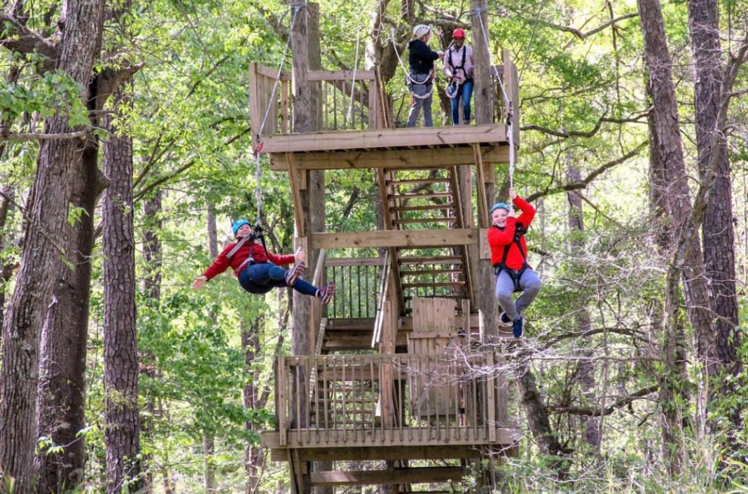 Adventureworks Ziplining gallery photo 4