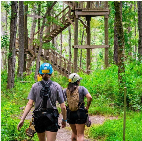 Adventureworks Ziplining gallery photo 5