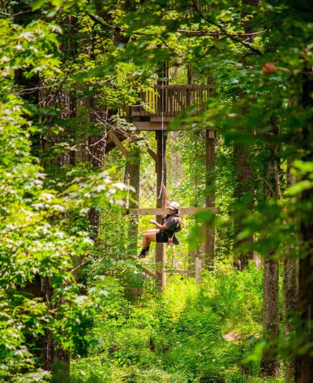 Adventureworks Ziplining gallery photo 6