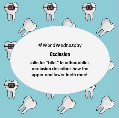 Creekside Orthodontics gallery photo 5