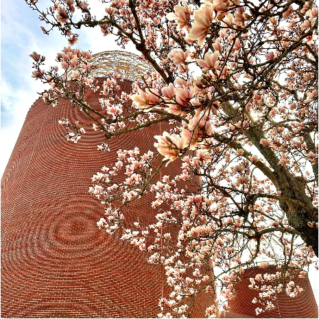 Lindsey Wilson University gallery photo 6