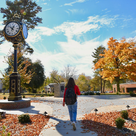 Lindsey Wilson University gallery photo 8