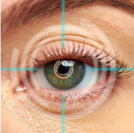 Curtis Optometry Group, PLLC gallery photo 4