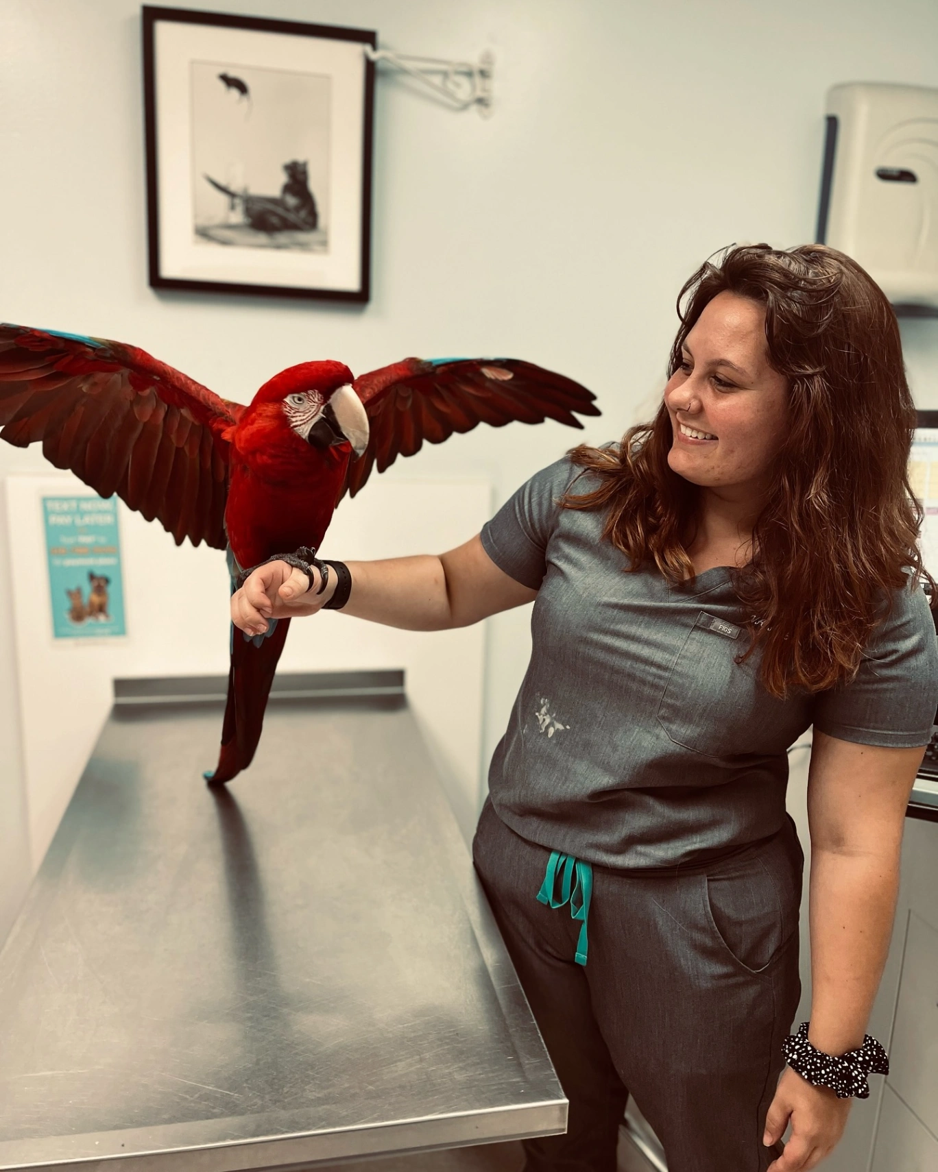 Northside Animal Hospital gallery photo 2