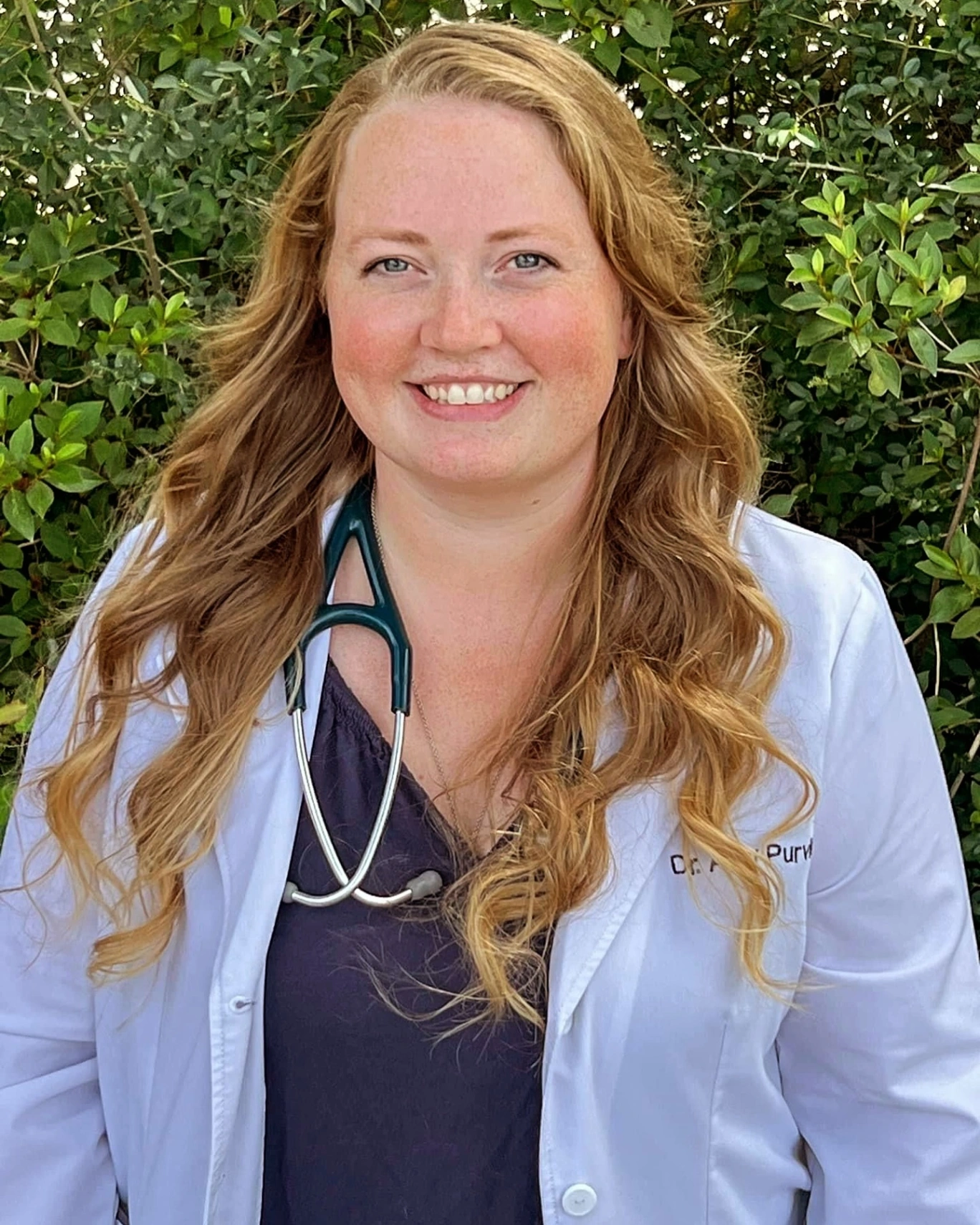 Northside Animal Hospital gallery photo 3