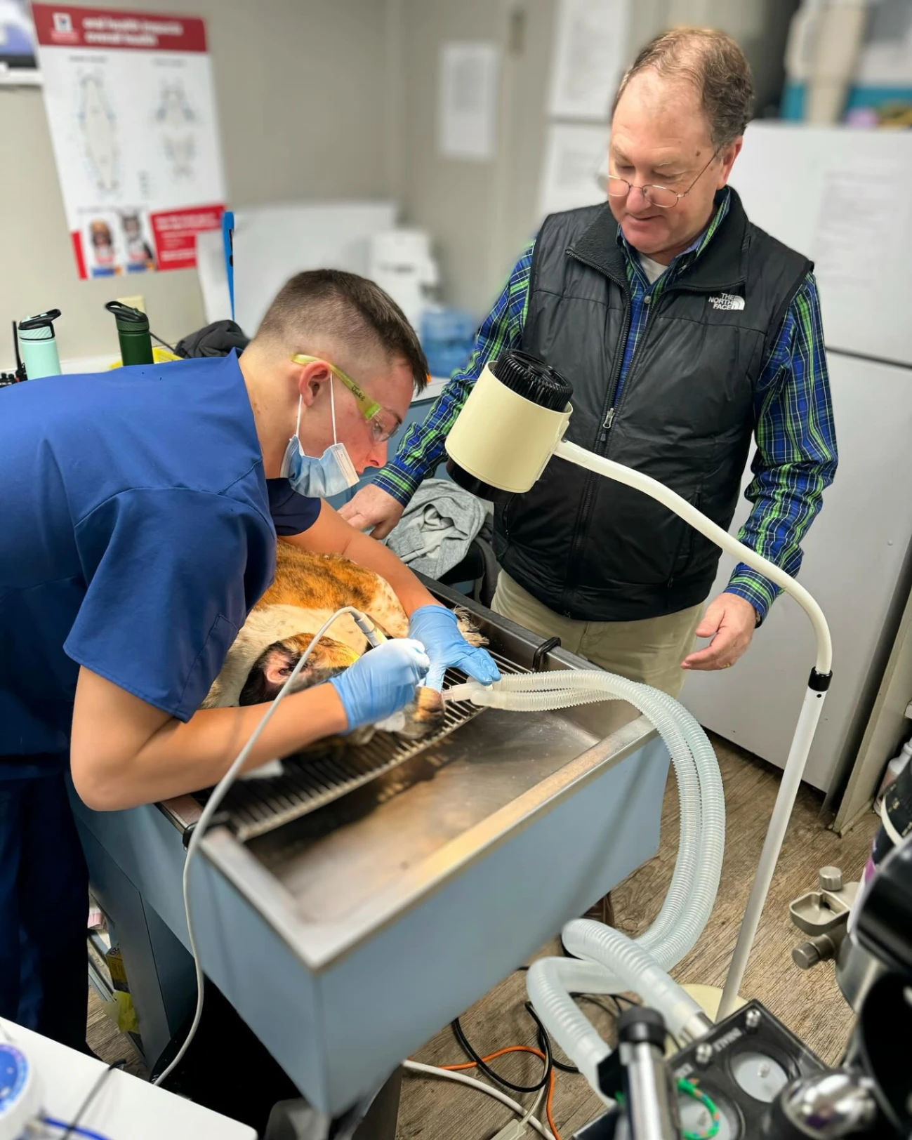 Northside Animal Hospital gallery photo 5