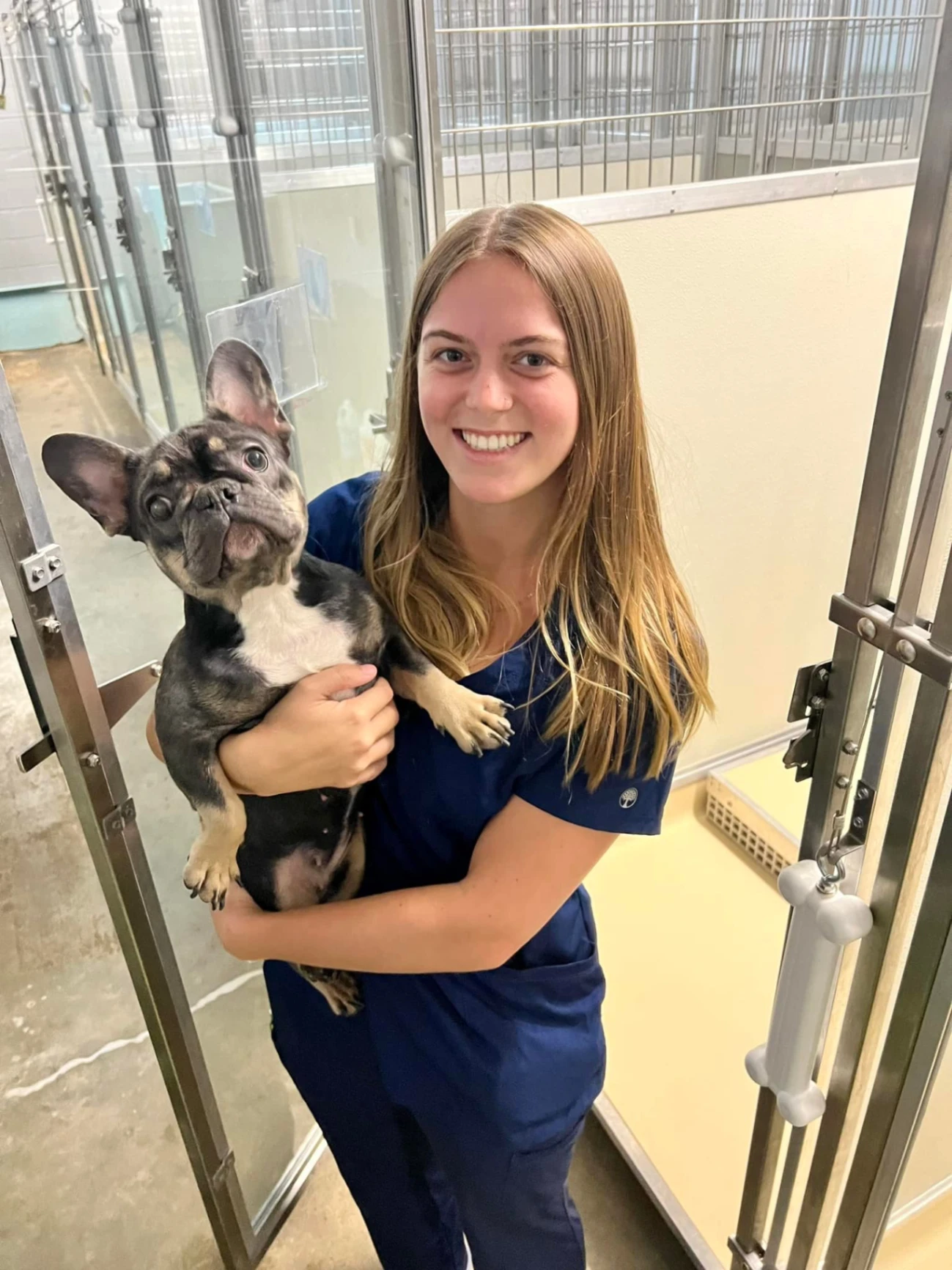 Northside Animal Hospital gallery photo 8