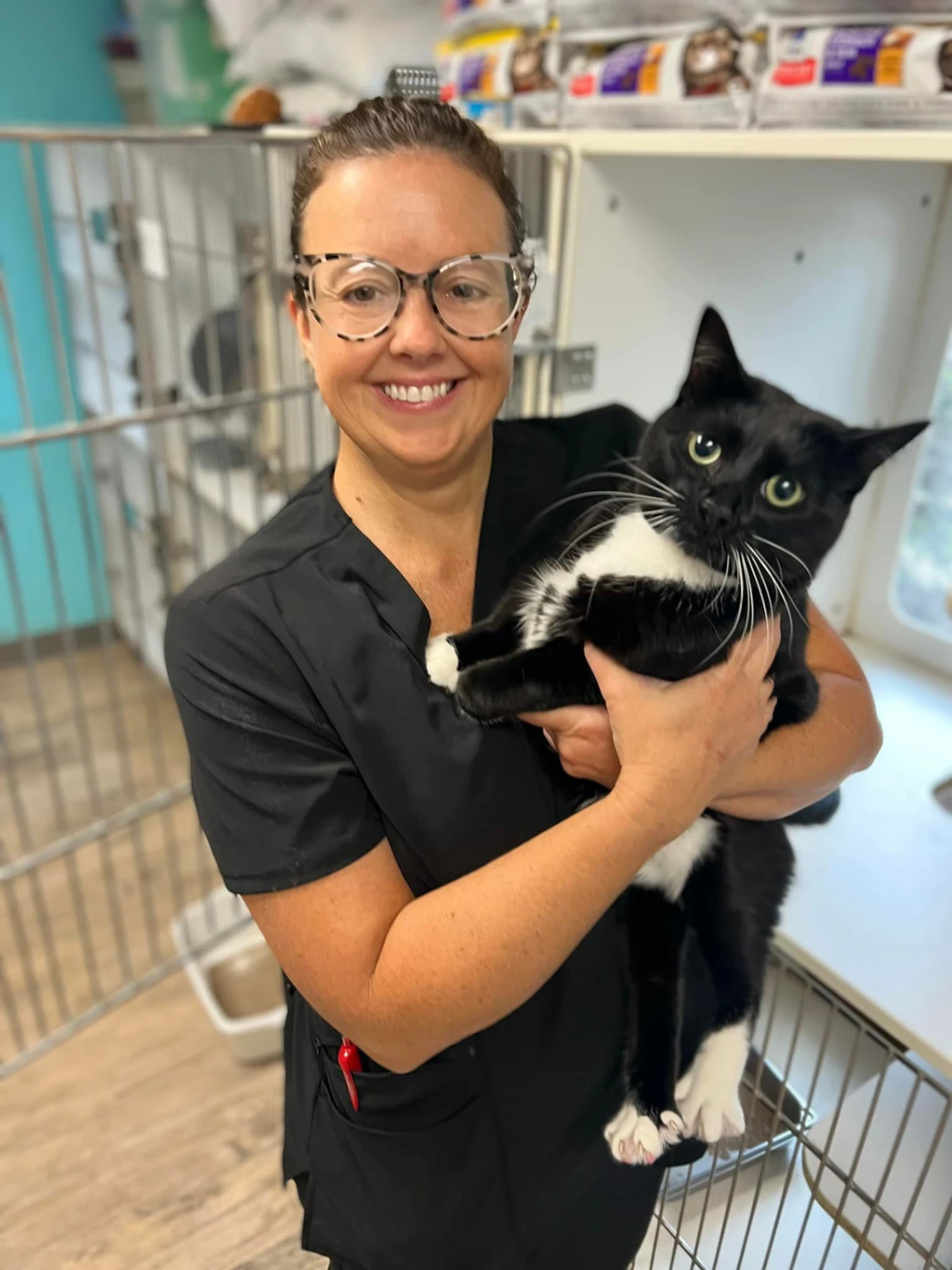 Northside Animal Hospital gallery photo 9