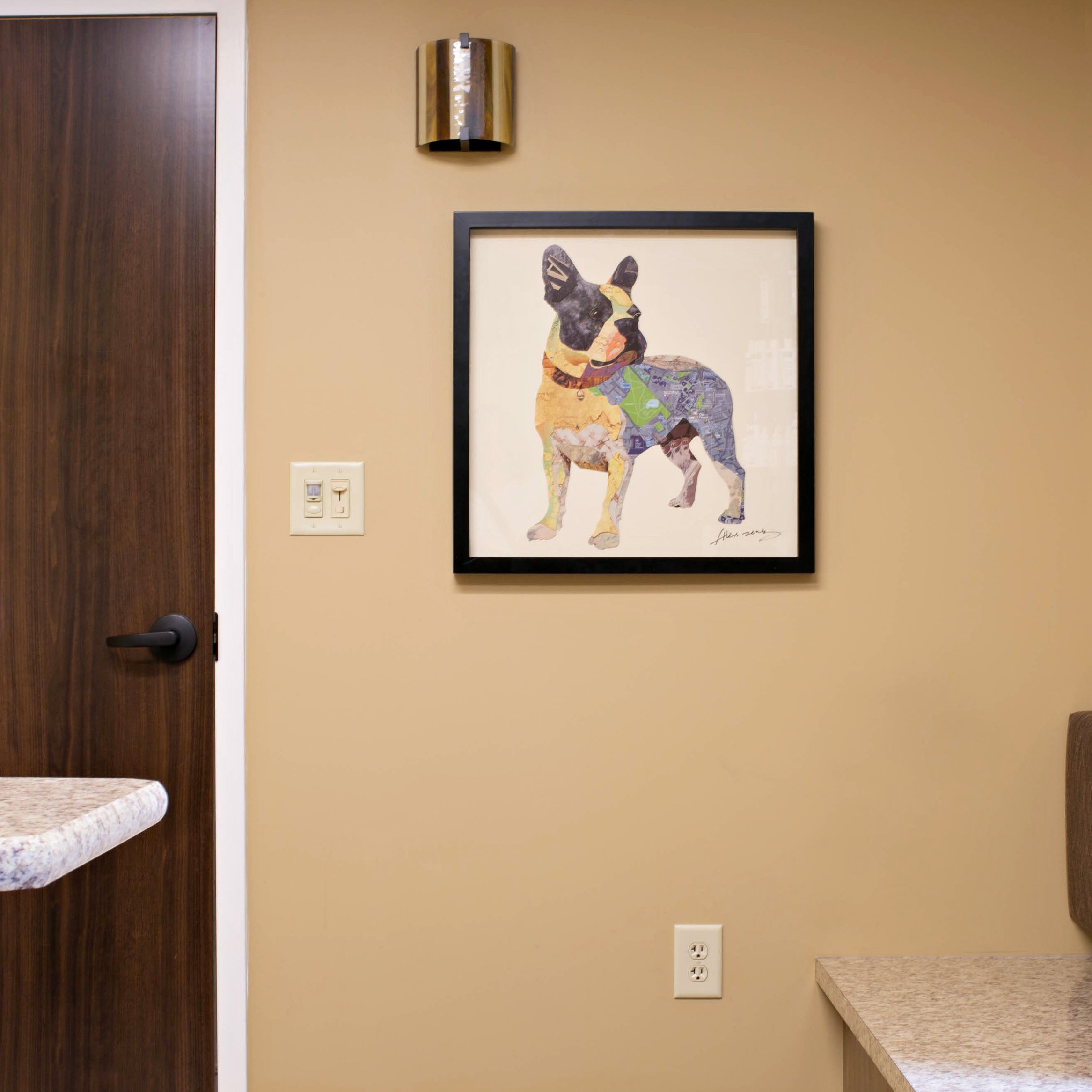 Aquia-Garrisonville Animal Hospital gallery photo 2