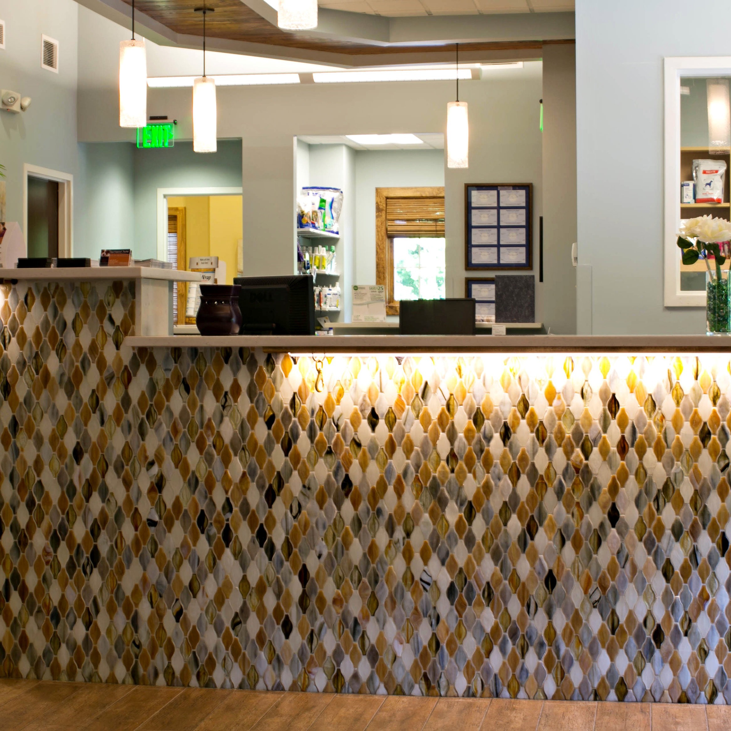 Aquia-Garrisonville Animal Hospital gallery photo 3