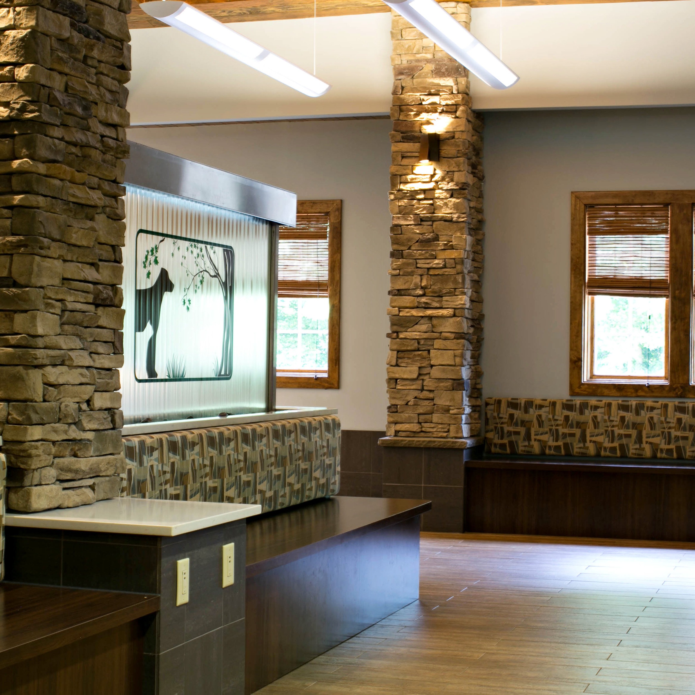 Aquia-Garrisonville Animal Hospital gallery photo 4