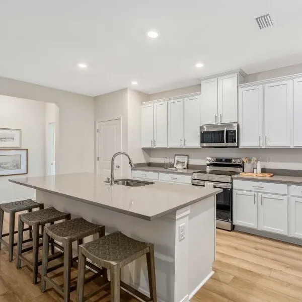 Foley Pointe by Maronda Homes gallery photo 2