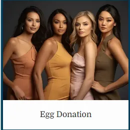 La Jolla IVF gallery photo 3