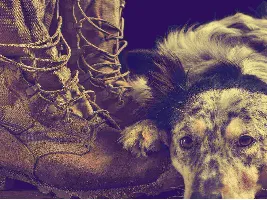 Freedom Fighters Therapy gallery photo 1