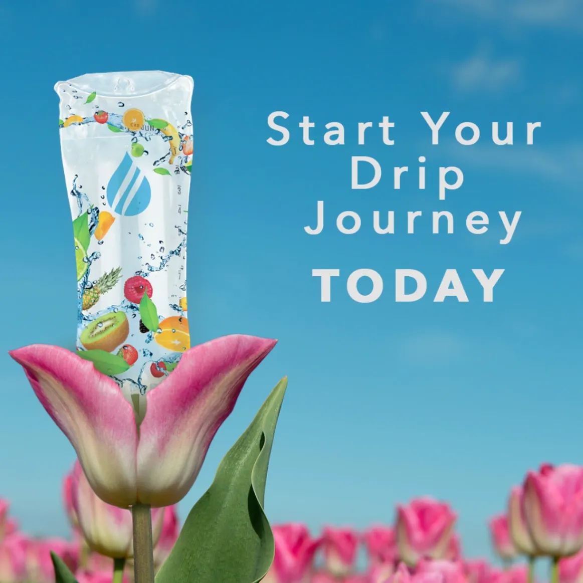 Rejuvenation Medical Aesthetics  gallery photo 8