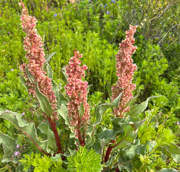 Coastal Allergy Care gallery photo 3