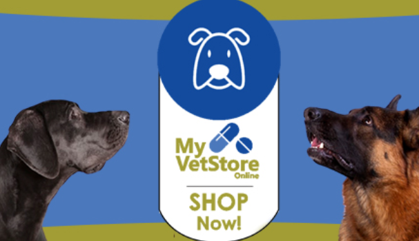 Cumberland Animal Hospital gallery photo 1