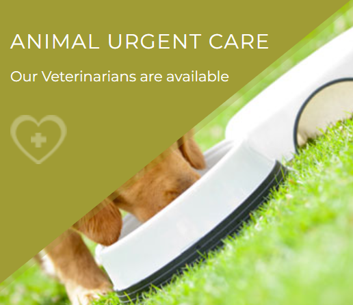 Cumberland Animal Hospital gallery photo 2