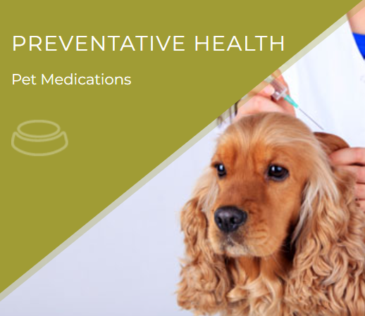 Cumberland Animal Hospital gallery photo 3