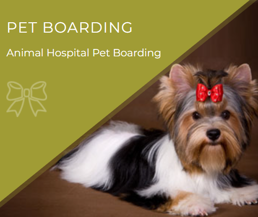 Cumberland Animal Hospital gallery photo 4