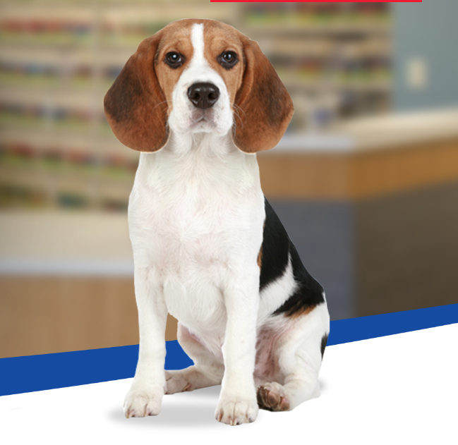 Cumberland Animal Hospital gallery photo 5