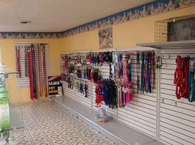 Fairborn Pet Grooming gallery photo 3