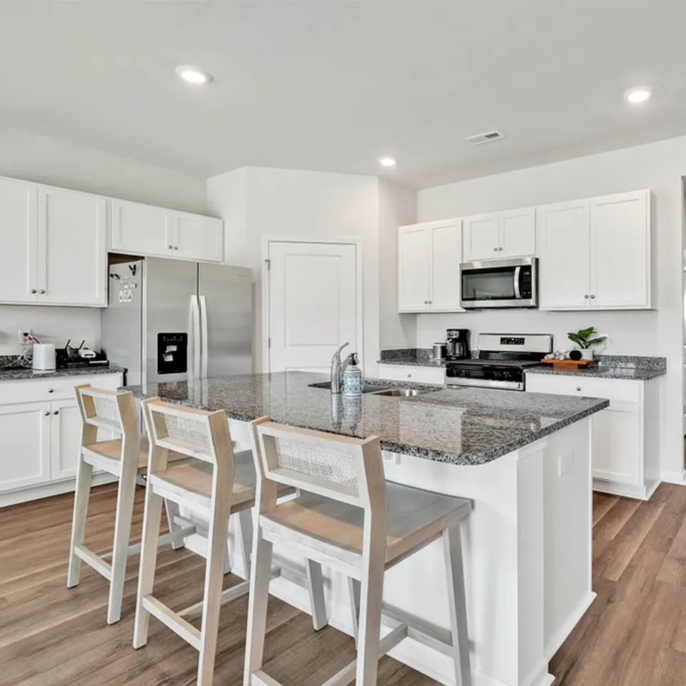 Patriot Pointe at Towne Pointe by D.R. Horton gallery photo 7