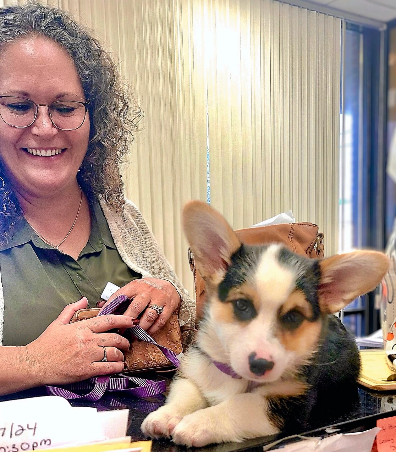 Agape Animal Hospital gallery photo 1