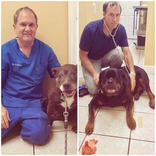 Agape Animal Hospital gallery photo 3