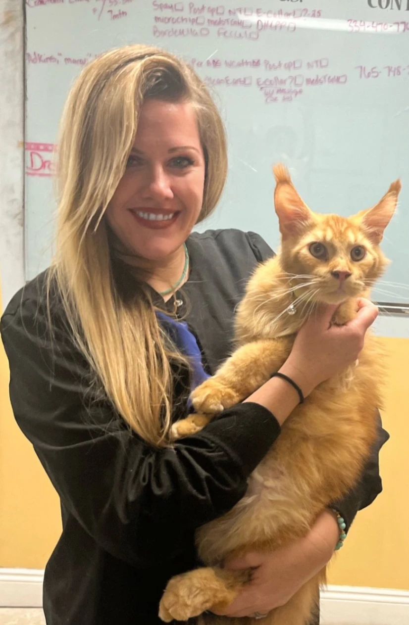 Agape Animal Hospital gallery photo 10