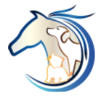 Viking Drive Veterinary Hospital Boarding and Grooming Logo