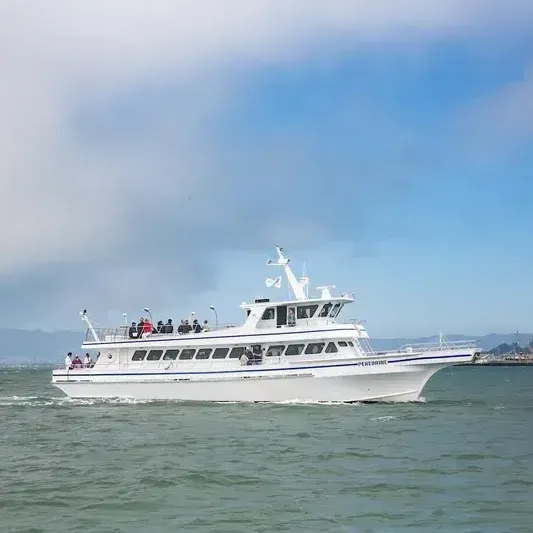 Wild Pacific Whale Watch Logo